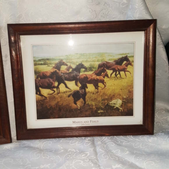 John Leone - Canyon Mustangs & Mare and Foals - Picture 2 of 5